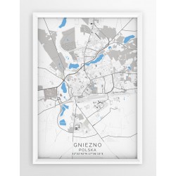Mapa plakat GNIEZNO - linia BLUE/GRAY