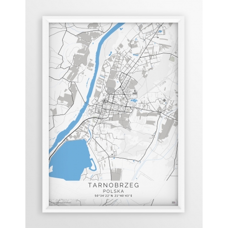 Plakat, mapa TARNOBRZEG - linia BLUE/GRAY